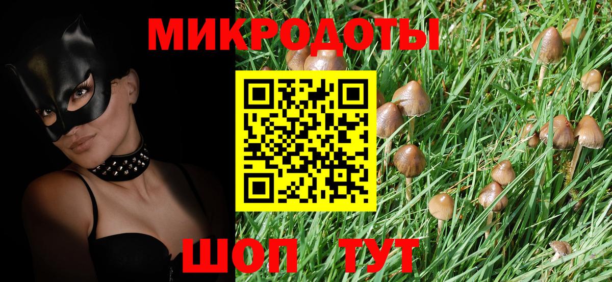 Галлюциногенные грибы Psilocybine cubensis  Вход с VPN  Сургут 