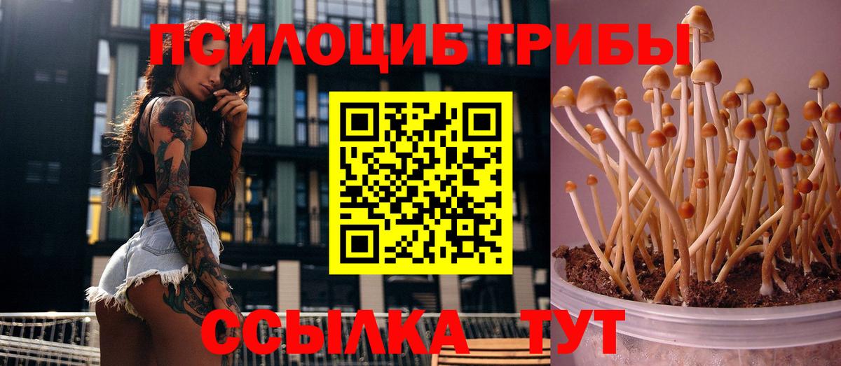 Галлюциногенные грибы ЛСД Сургут